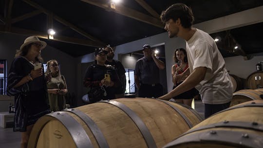 Wijntour van een hele dag in Saint-Emilion en Margaux