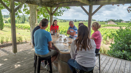 St. Emilion day-tour with village visit, wine tour and lunch