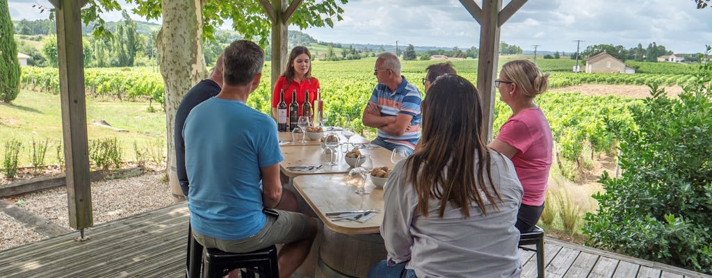 St. Emilion day-tour with village visit, wine tour and lunch