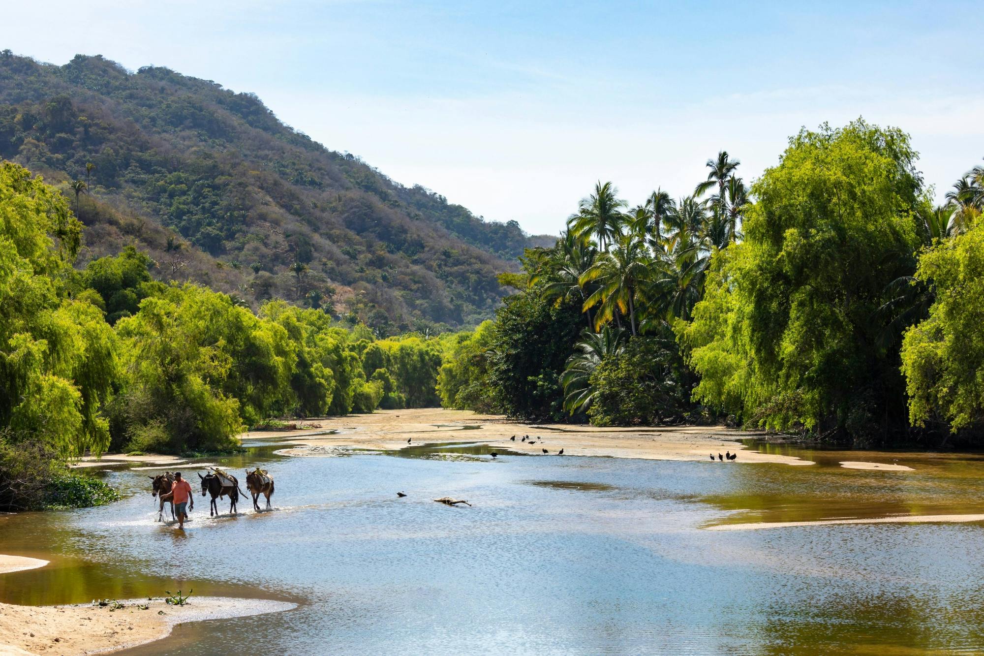 Yelapa & Majahuitas Beach Boat Cruise Ticket