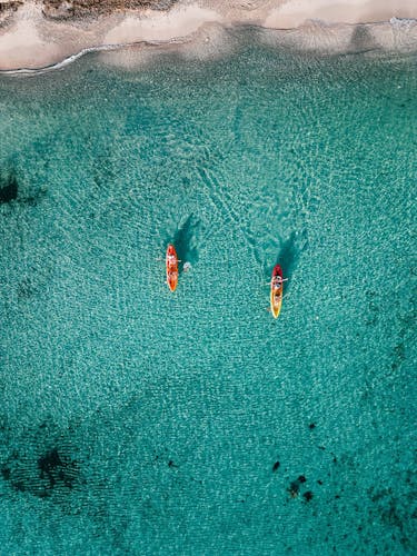 Eco Island Adventure Stand-up Paddle or Kayaking Guided Tour with Snorkelling