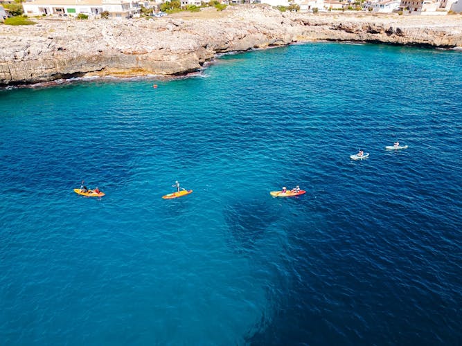 Eco Island Adventure Stand-up Paddle or Kayaking Guided Tour with Snorkelling