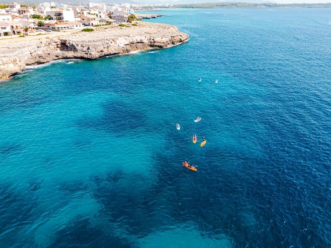 Eco Island Adventure Stand-up Paddle or Kayaking Guided Tour with Snorkelling