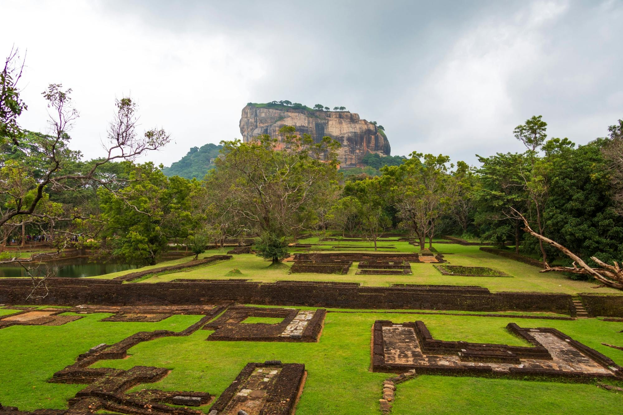 Sigiriya, Dambulla and Minneriya Park Safari Tour from the East Coast