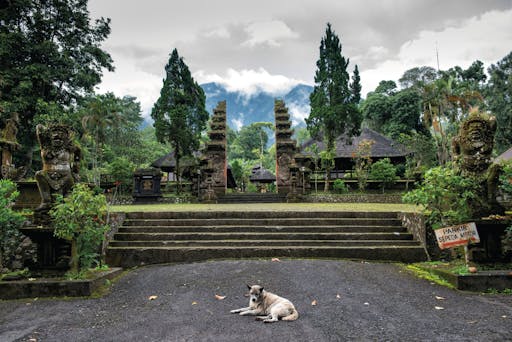 Bali Temples Trail and Rice Terraces Private Full Day Tour