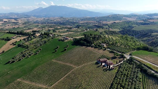 Cantina D'Erasmo Guided Tour with 3 Signature Wine Tastings