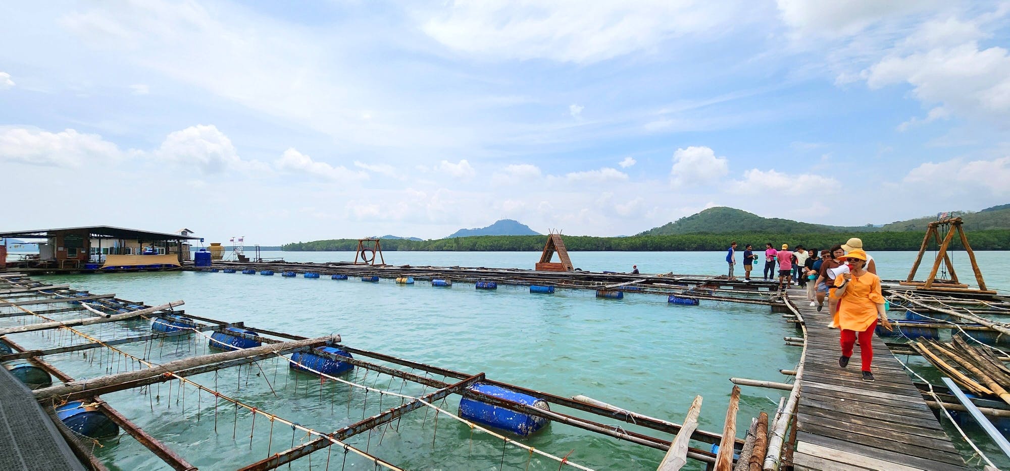 Phuket fisheries tour with kayaking and a seafood lunch