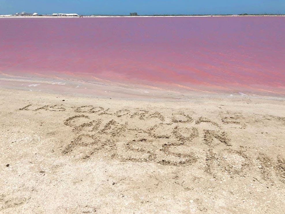 Las Coloradas and Rio Lagartos tour