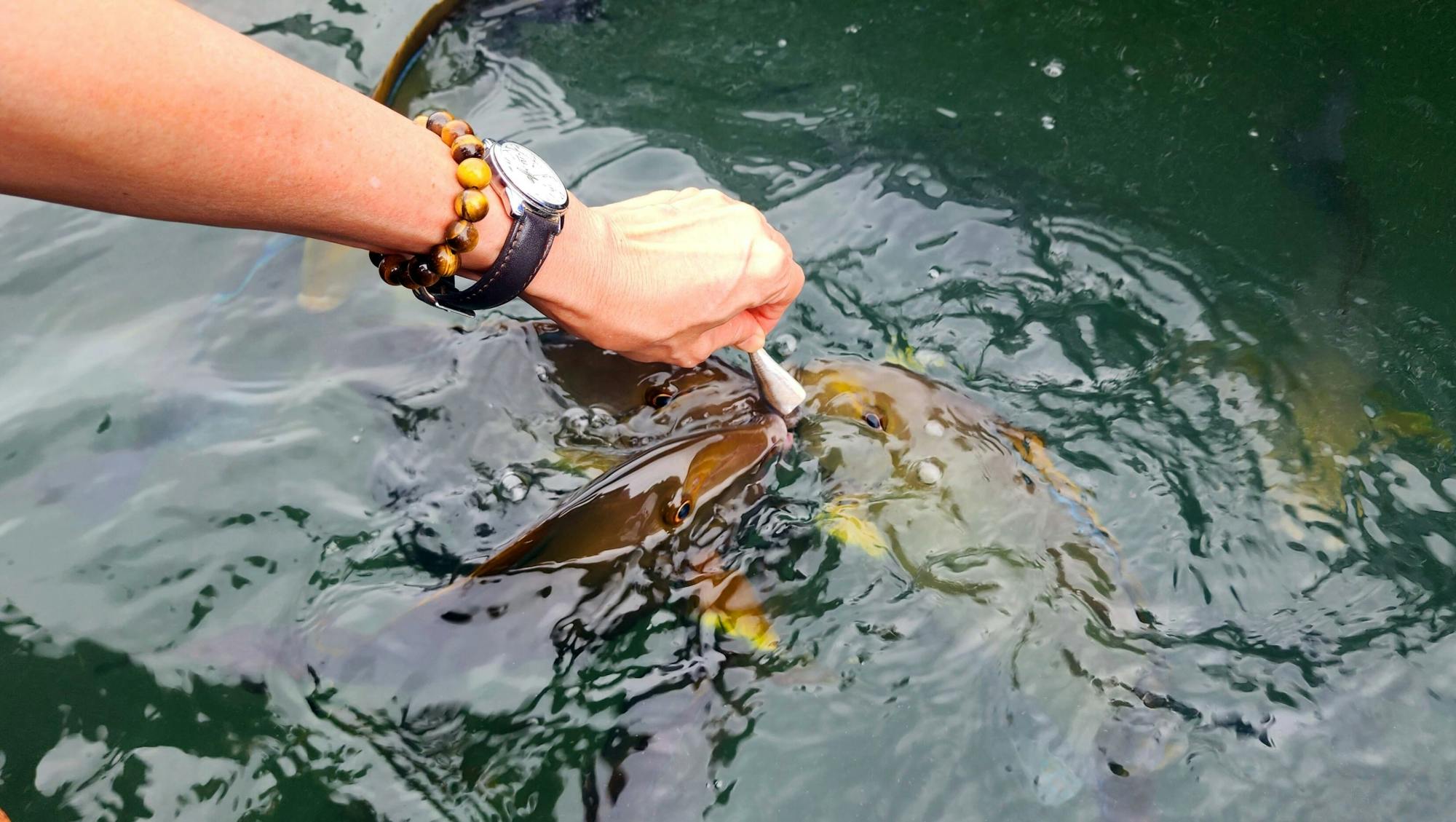 Phuket fisheries tour with kayaking and a seafood lunch | TUI
