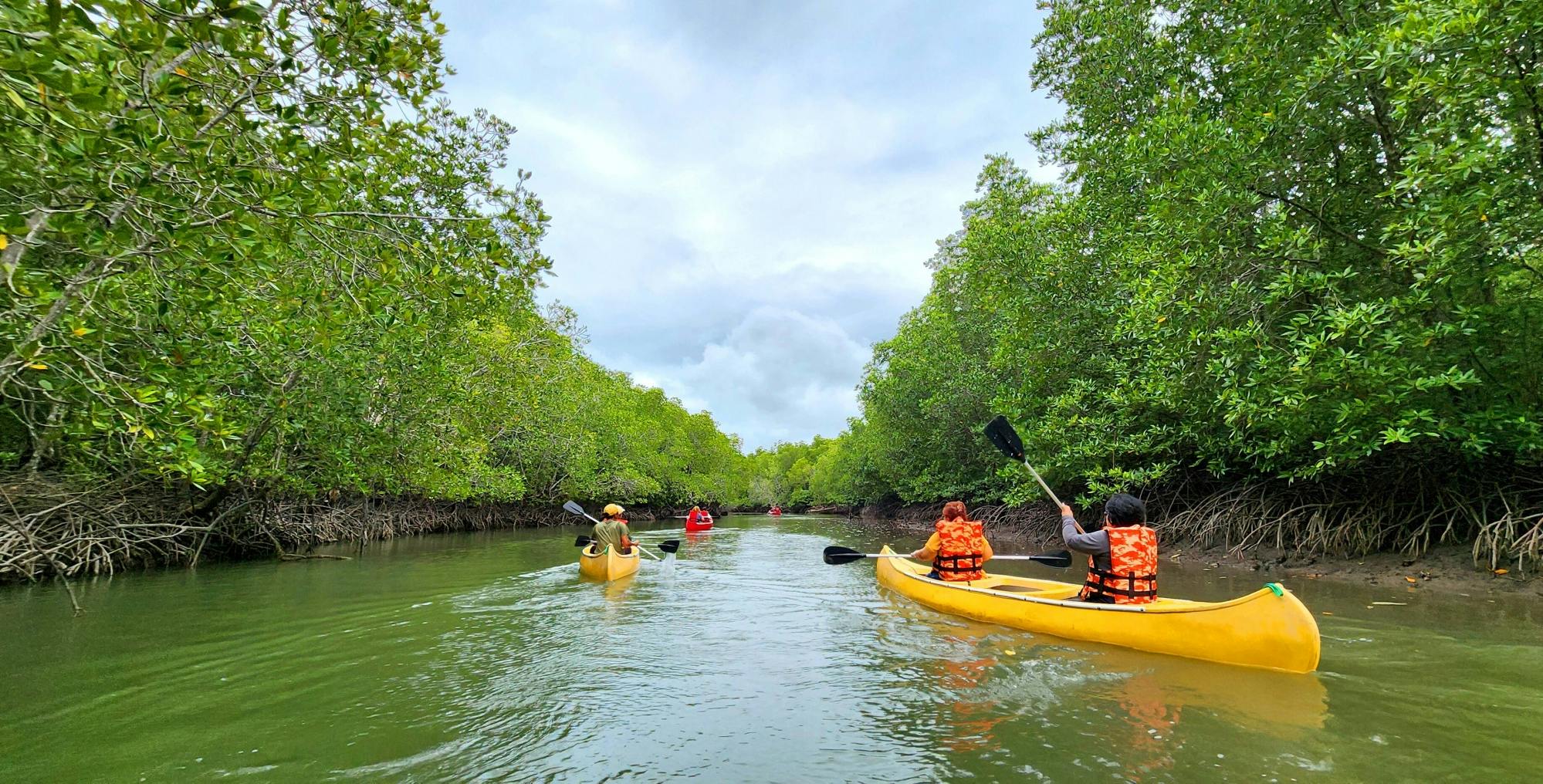 Phuket fisheries tour with kayaking and a seafood lunch