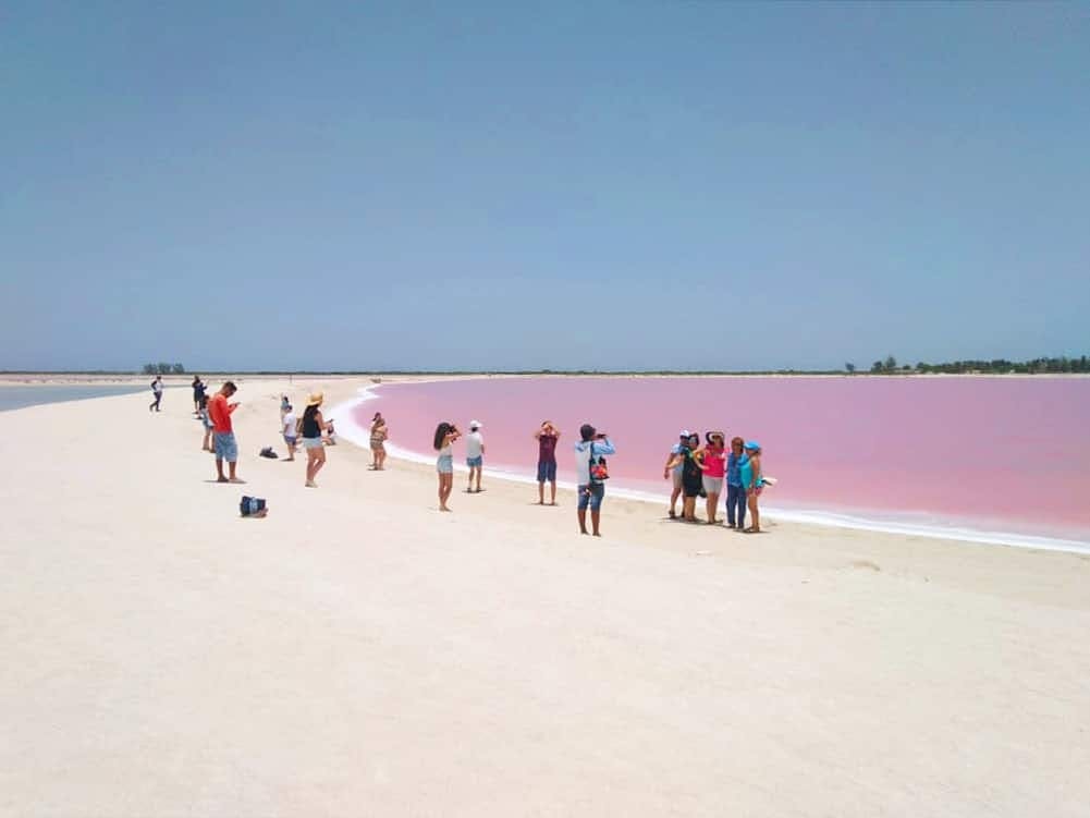 Las Coloradas and Rio Lagartos tour