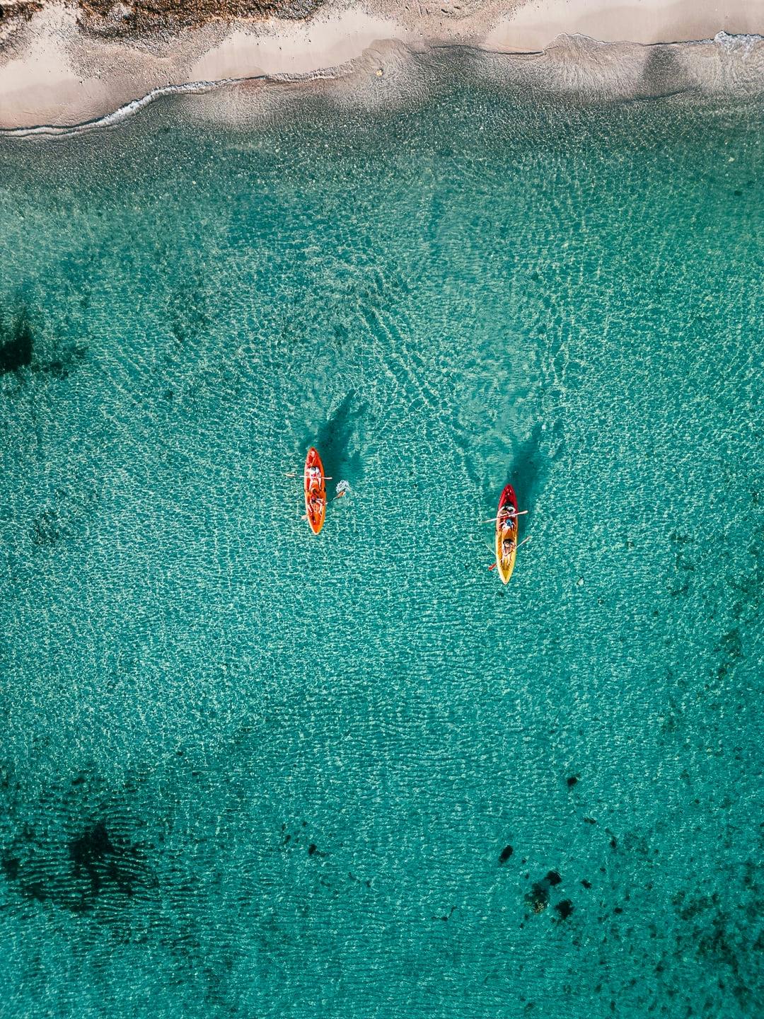 Eco Island Adventure Stand-up Paddle or Kayaking Guided Tour with Snorkelling