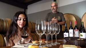 Wine Tours and Tastings in Málaga