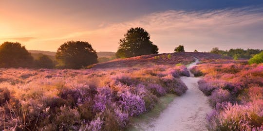 Viagem gastronômica autoguiada através do Veluwe