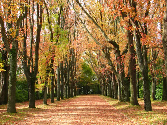 Biglietti d'ingresso al Parco Serralves di Porto