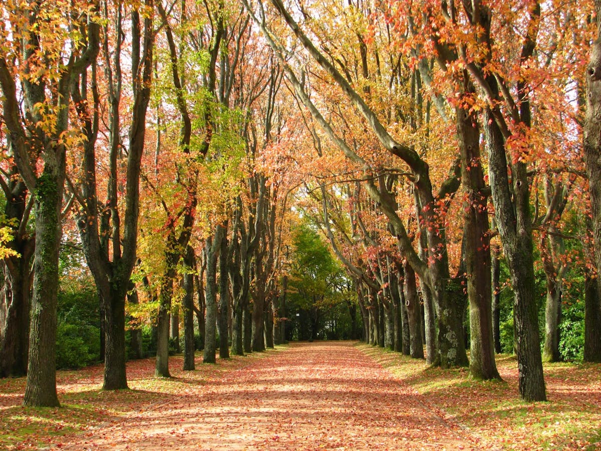 Toegangskaarten voor Serralves Park in Porto
