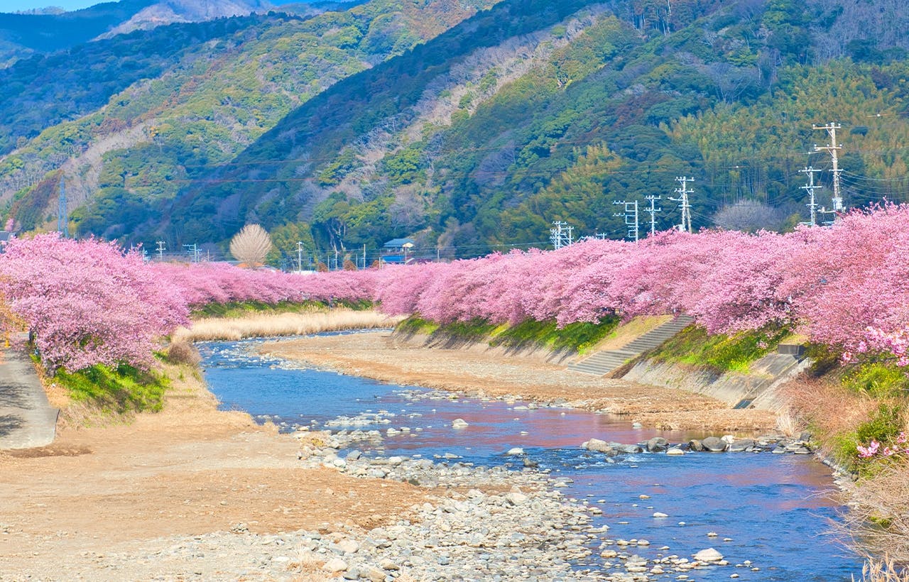 Recorrido de 1 día por los cerezos en Kawazu, la recolección de fresas y las aguas termales