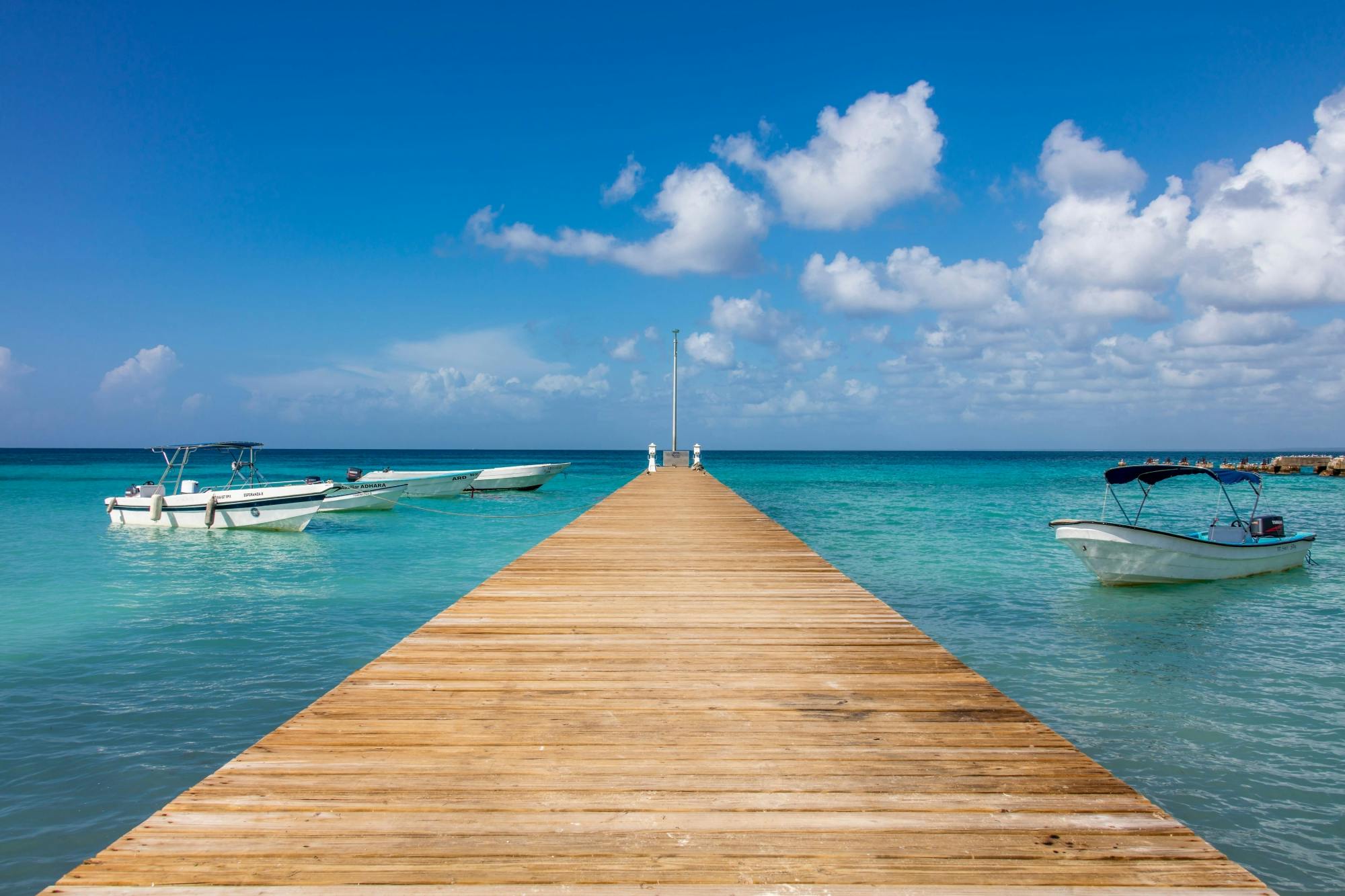 Saona Island Tour with Abanico Beach and Lunch