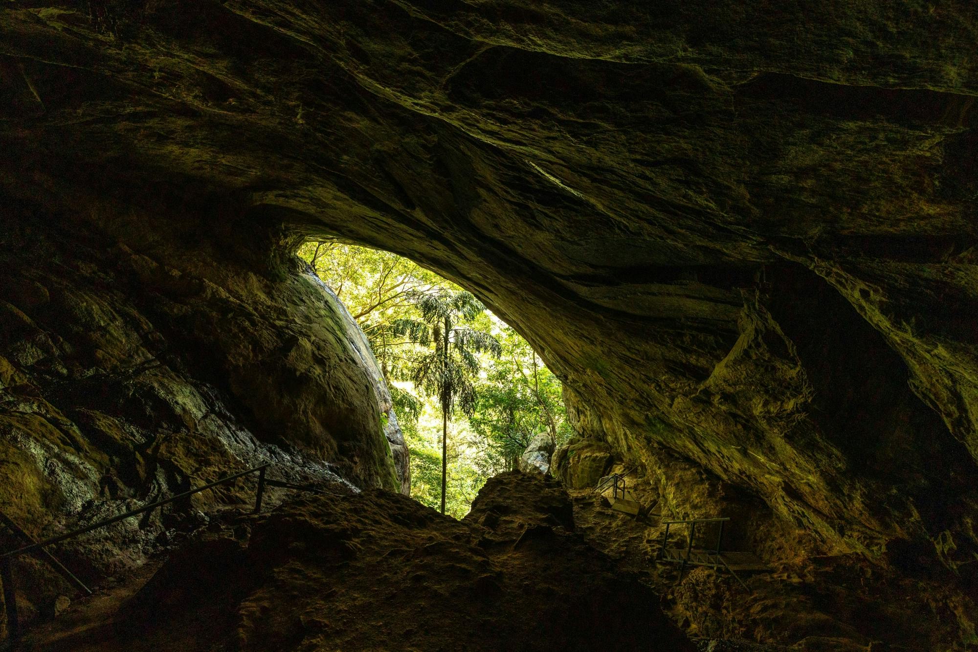 Full-day guided countryside hike with lunch in Sri Lanka