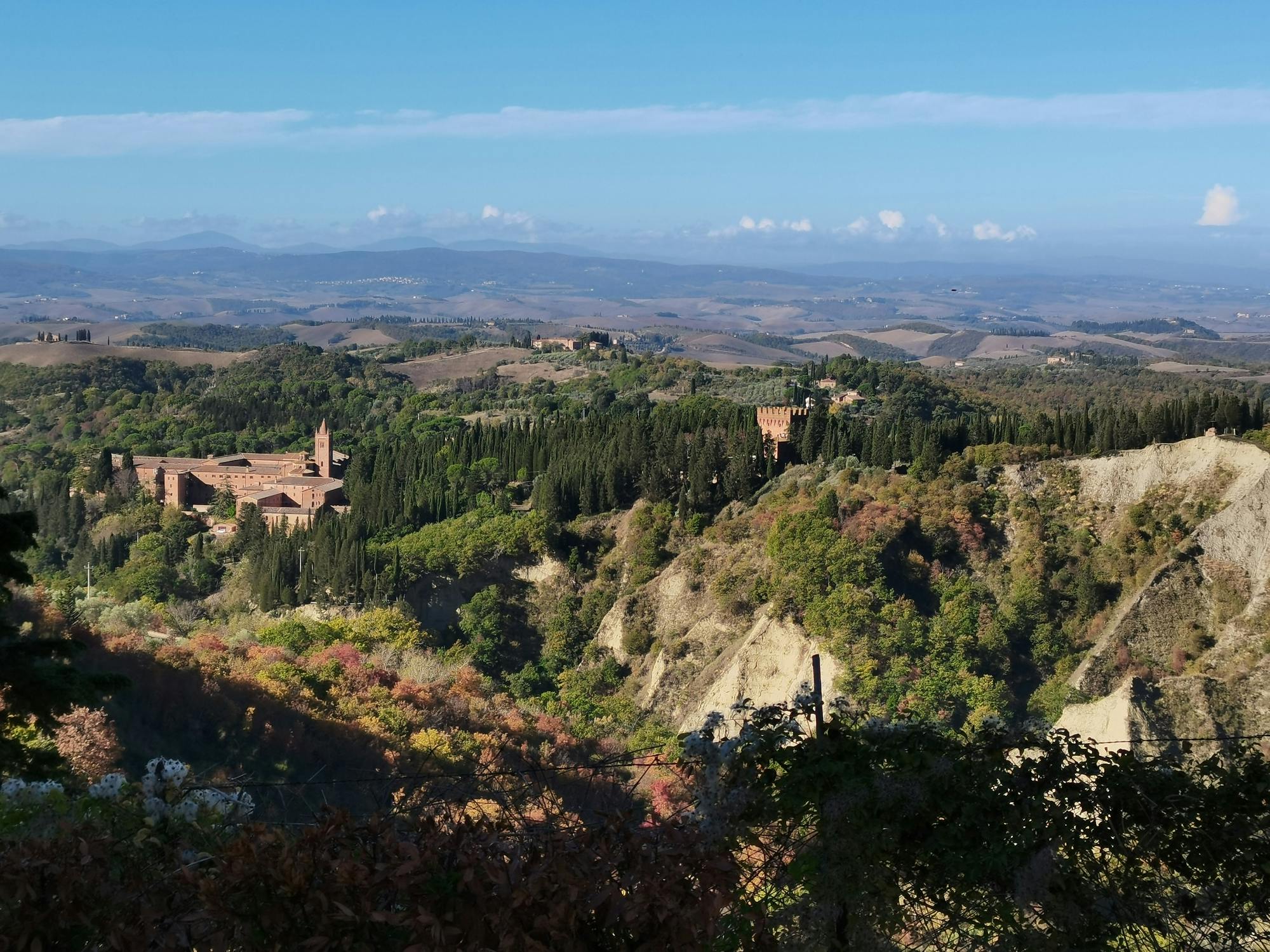 Excursión a Pienza y Montepulciano con almuerzo y cata de vinos