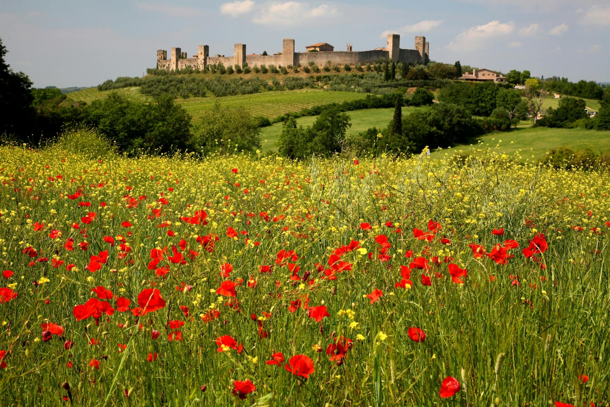 Wandeling van Siena naar Monteriggioni met wijnproeverij