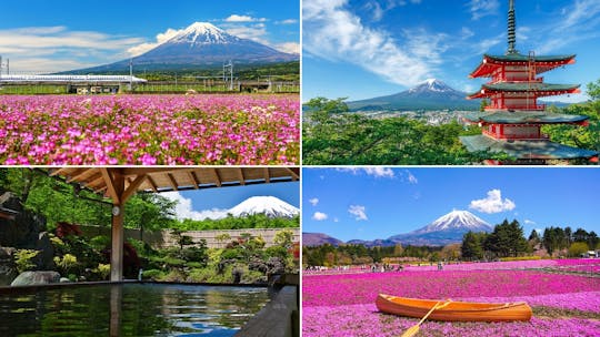 Tagestour zu den Zwillingsseen des Fuji und nach Kawaguchiko, Yamanaka und Onsen