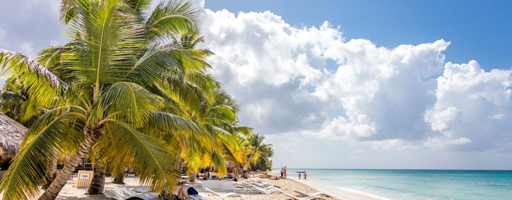 Saona Island highlights boat tour with buffet lunch