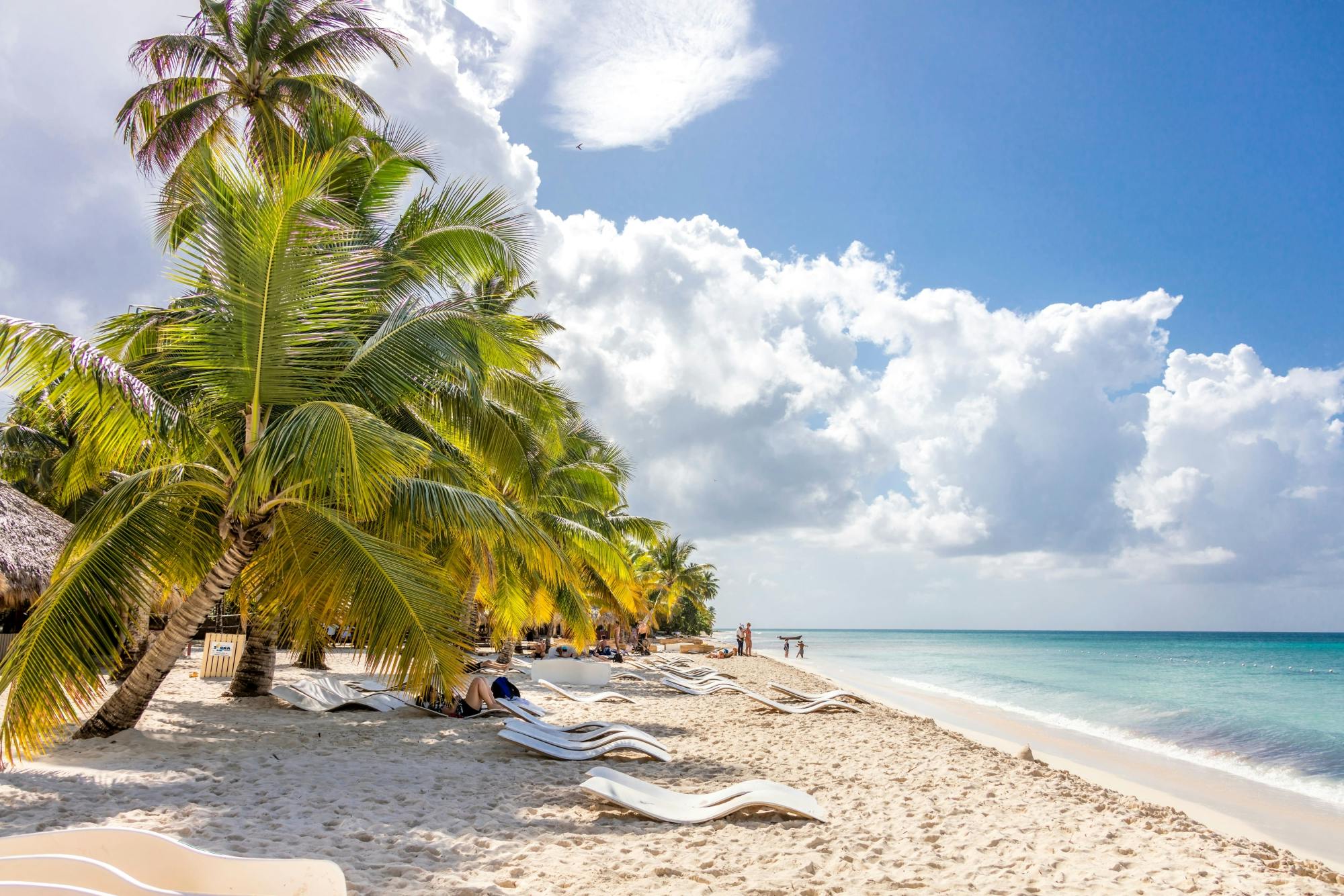 Saona Island highlights boat tour with buffet lunch