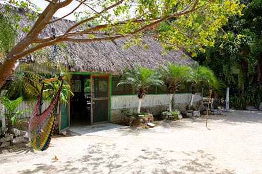 Tulum Private Tour with a Local Guide and Maya Community Visit