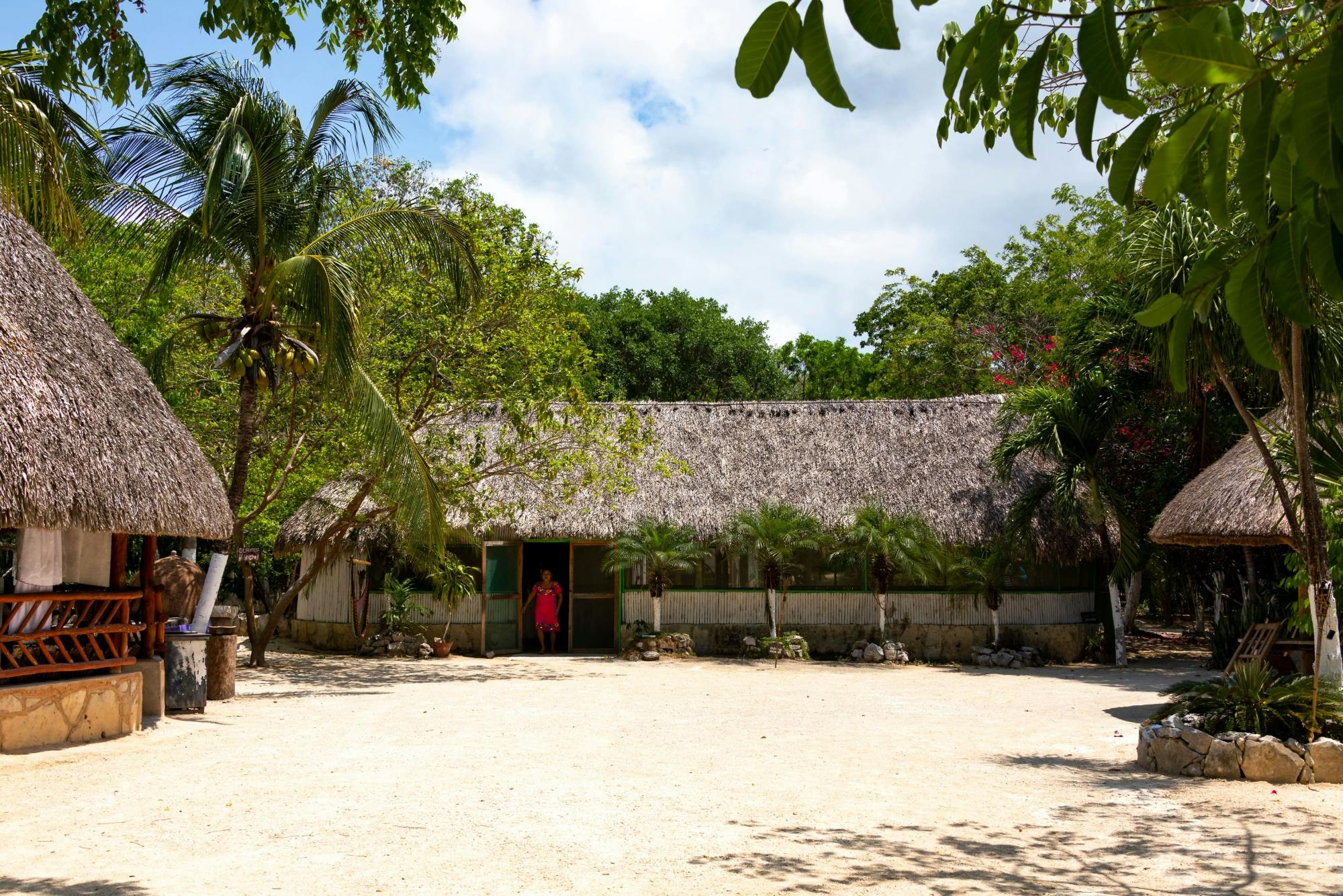 Coba Maya Ruins Tour with Lunch and Cenote Swim