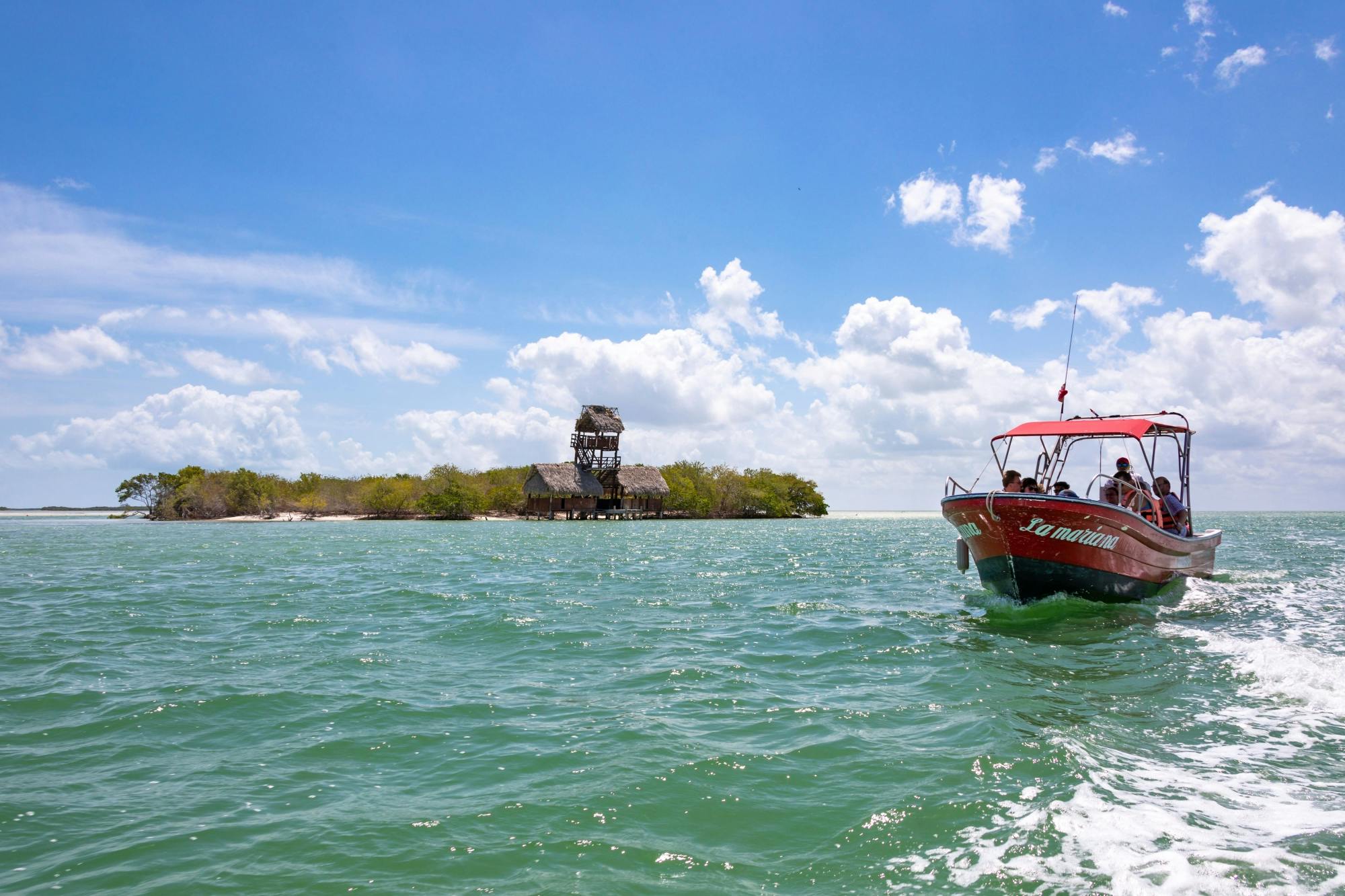 Holbox Island Boat and Buggy Tour from Chiquila