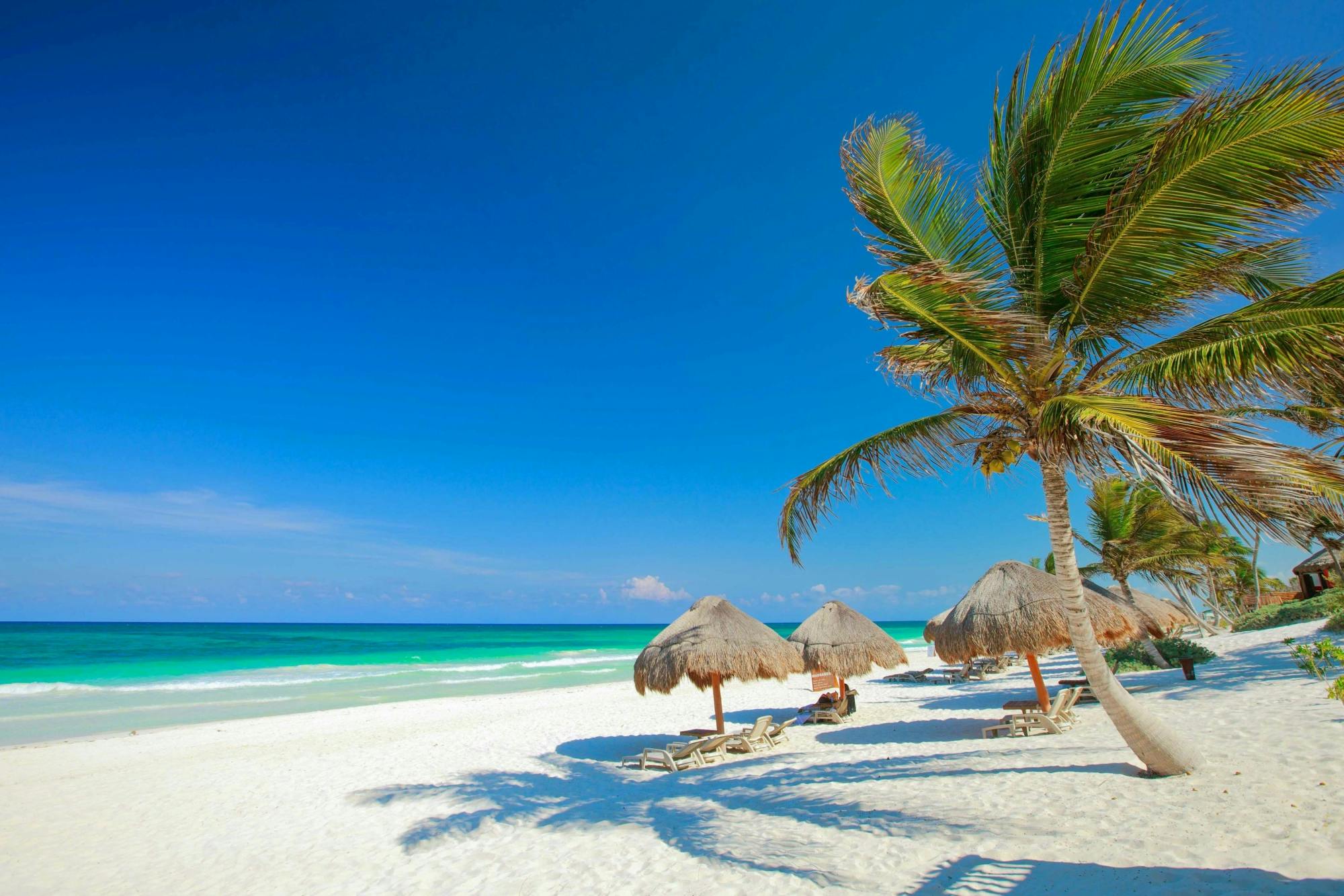 Tulum, Cenote Swim, Turtle Snorkelling & Beach Club Combo Tour