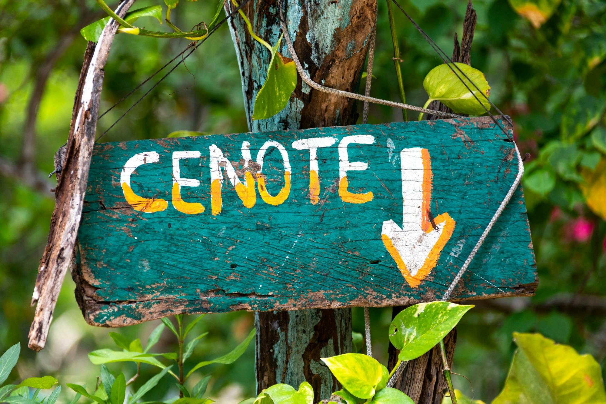 ATV Ride, Cenote and Catamaran Cruise from Cancun with Lunch