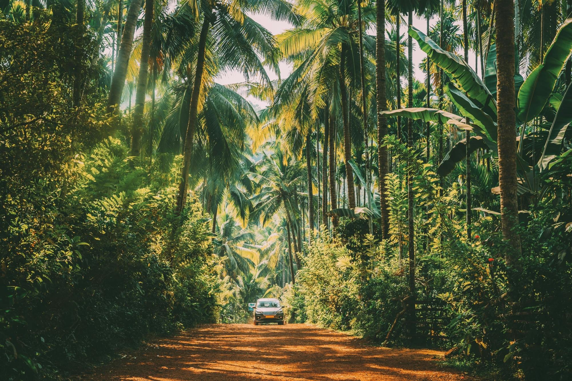 Goa projeta seu tour privado de um dia