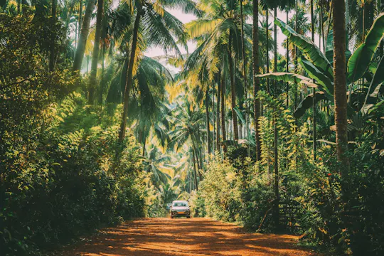 Goa projeta seu tour privado de um dia