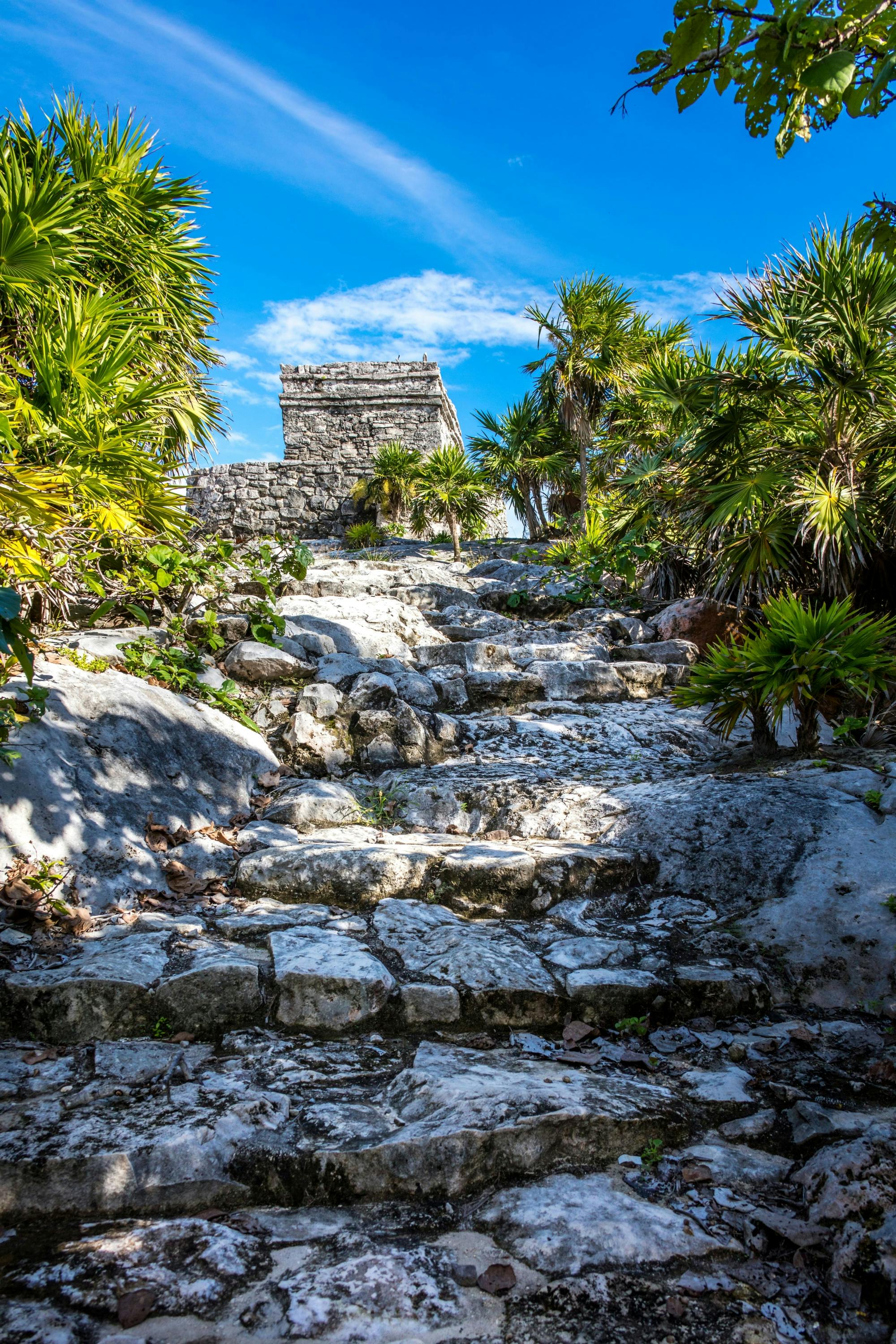 Tulum, Cenote Swim, Turtle Snorkelling & Beach Club Combo Tour