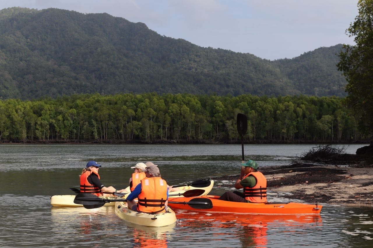 Excursión en kayak por el río manglar de Langkawi