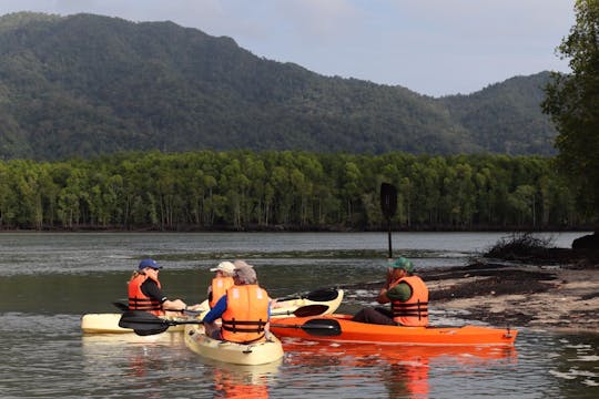 Langkawi mangrove river kayaking tour