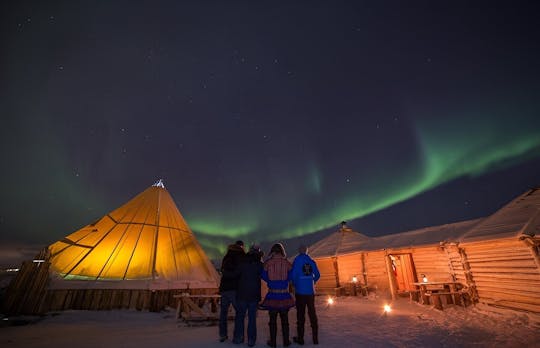 Cena in un campo di renne e aurora boreale