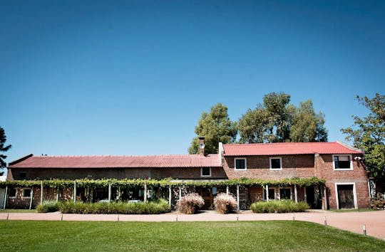 Visita guidata con degustazione di vini presso la cantina Bouza