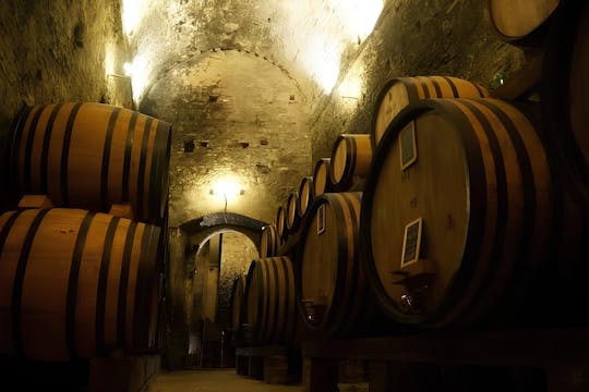 Degustazione di vini e visita guidata della cantina a Montepulciano