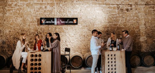 Immersive wine tourism experience at Bodega CVNE in La Rioja