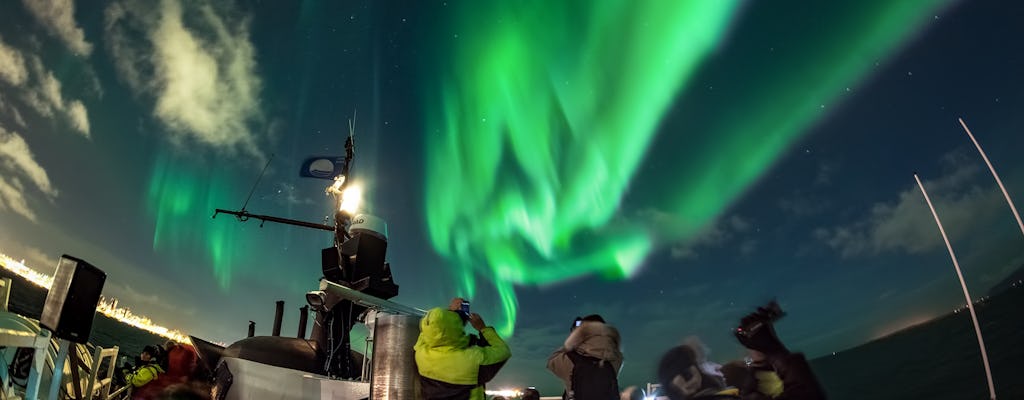 Reykjavík Noorderlicht Boottocht Met Transfer