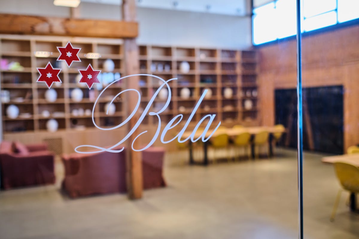 Rondleiding door de wijnmakerij en wijnproeverij bij Bodega Bela in Villalba de Duero