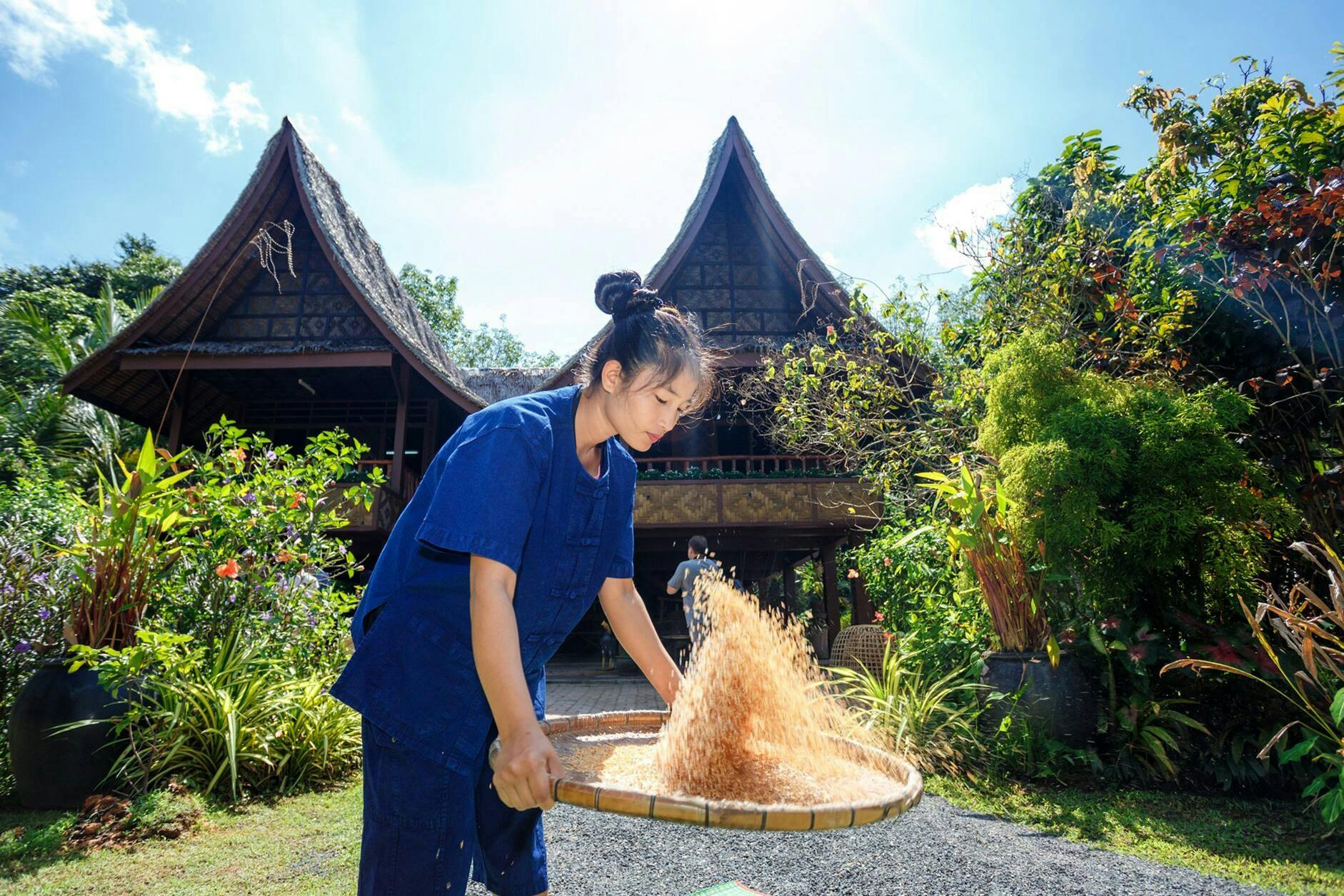 Phuket full-day temple, pearl and cashew tour with lunch