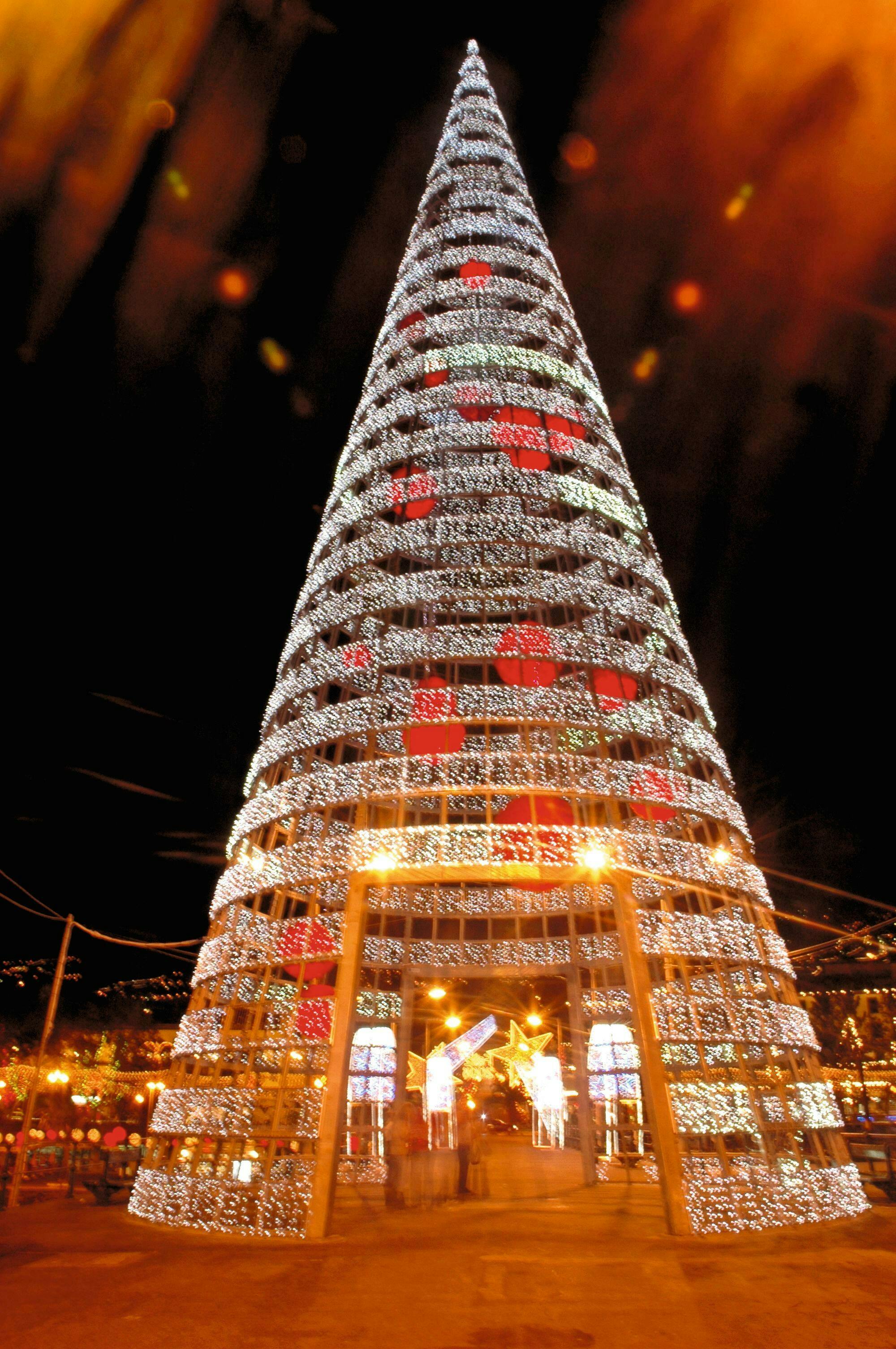 Funchal Christmas Lights Festive Walking Tour