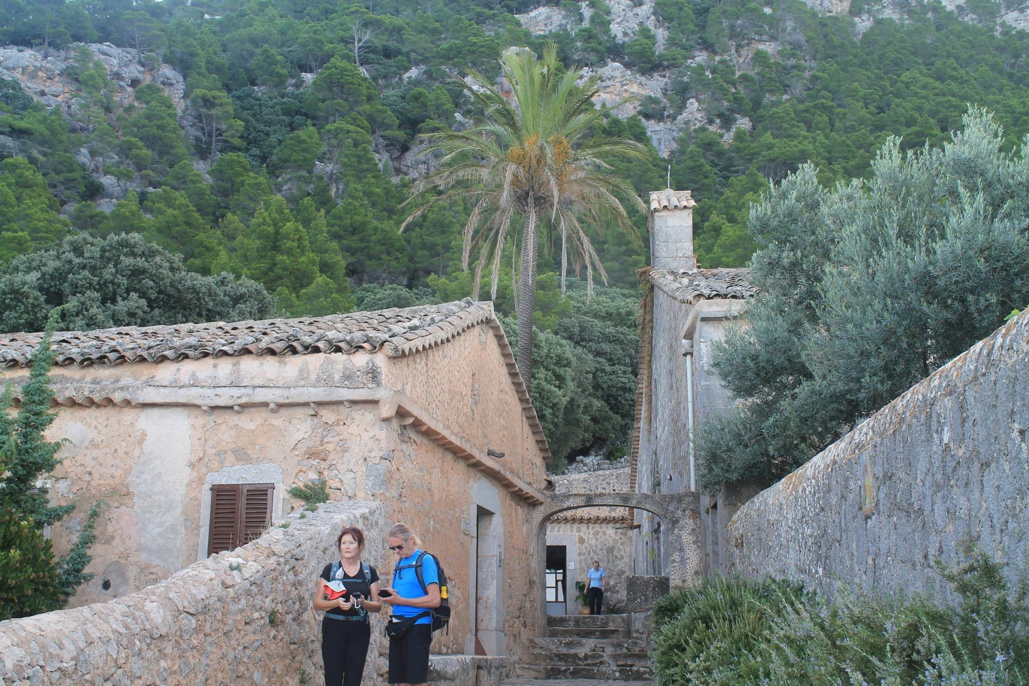 Guided hiking in Valldemossa through Ermites Velles and s'Escolta with Eco Island adventure