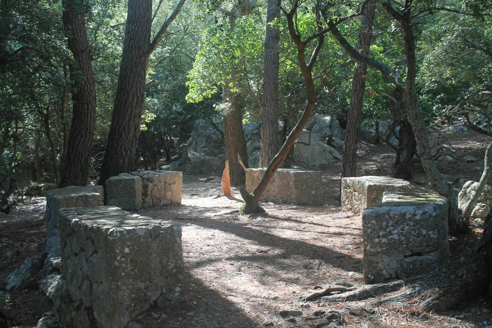 Guided hiking in Valldemossa through Ermites Velles and s'Escolta with Eco Island adventure