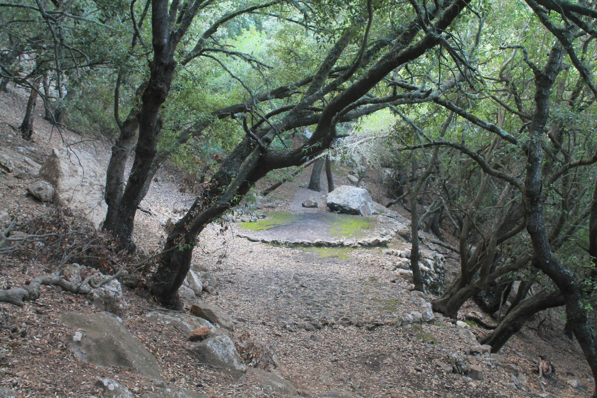 Guided hiking in Valldemossa through Ermites Velles and s'Escolta with Eco Island adventure