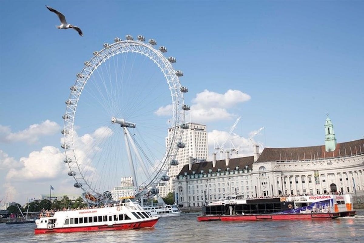 Harry Potter Walking Guided Tour z rejsem po Tamizie i London Eye